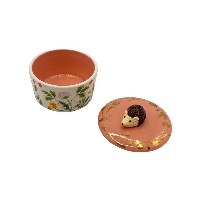Secret Garden Hedgehog Trinket Pot