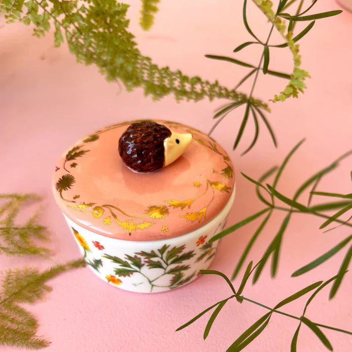 Secret Garden Hedgehog Trinket Pot