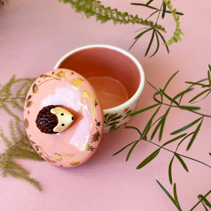 Secret Garden Hedgehog Trinket Pot
