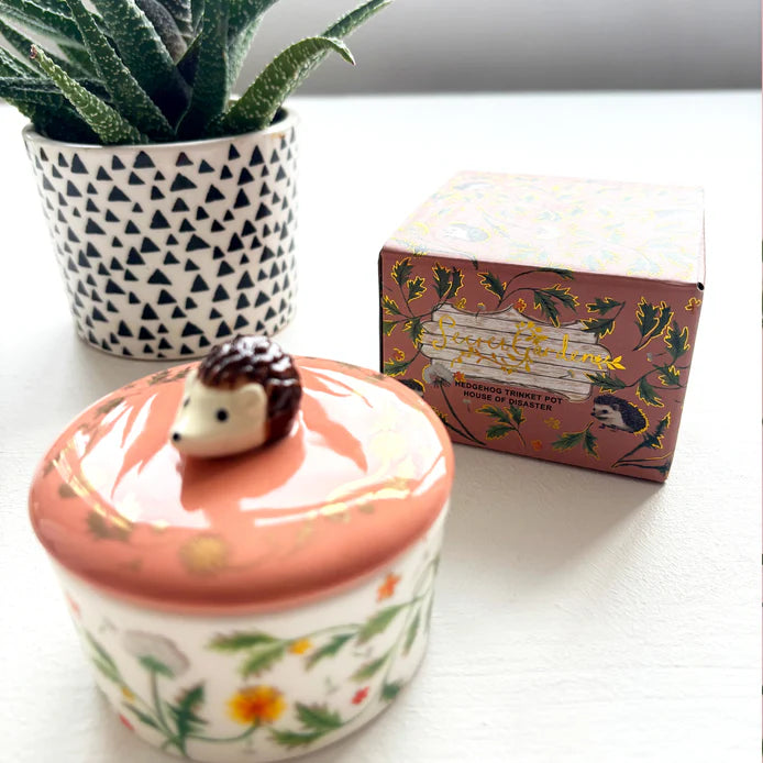 Secret Garden Hedgehog Trinket Pot